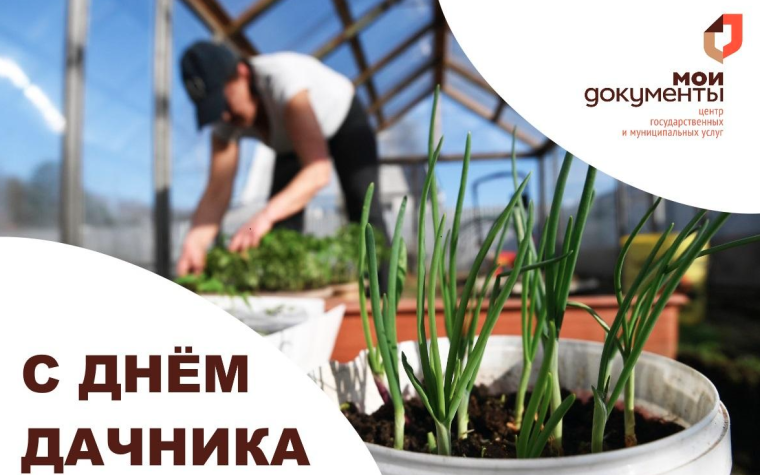 День дачника!. День дачника!.