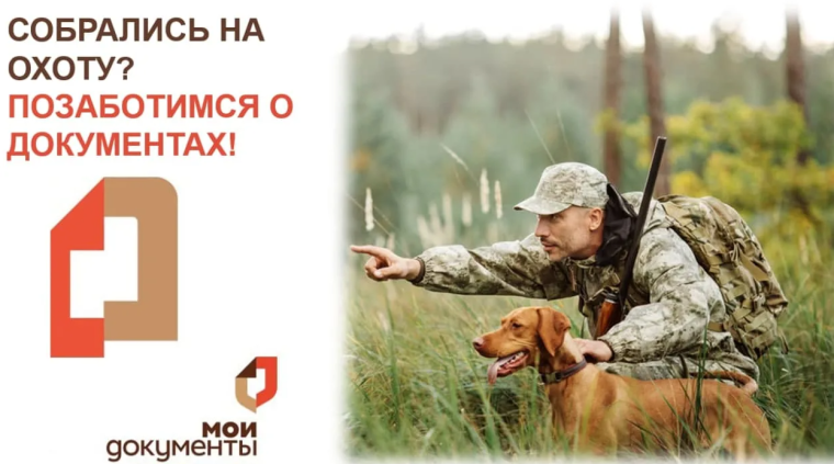 Разрешение на охоту можно оформить в МФЦ. Разрешение на охоту можно оформить в МФЦ.